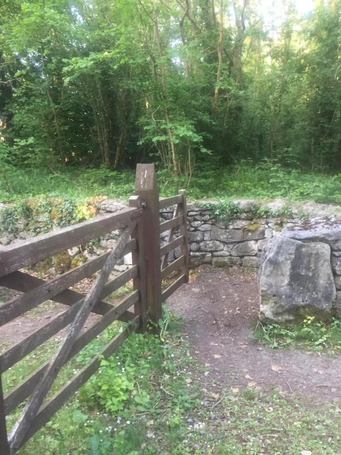 Sallys Cabin Kilcolgan المظهر الخارجي الصورة