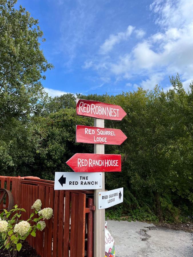 Sallys Cabin Kilcolgan المظهر الخارجي الصورة