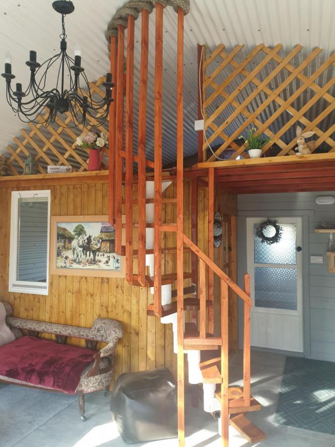 Sallys Cabin Kilcolgan المظهر الخارجي الصورة